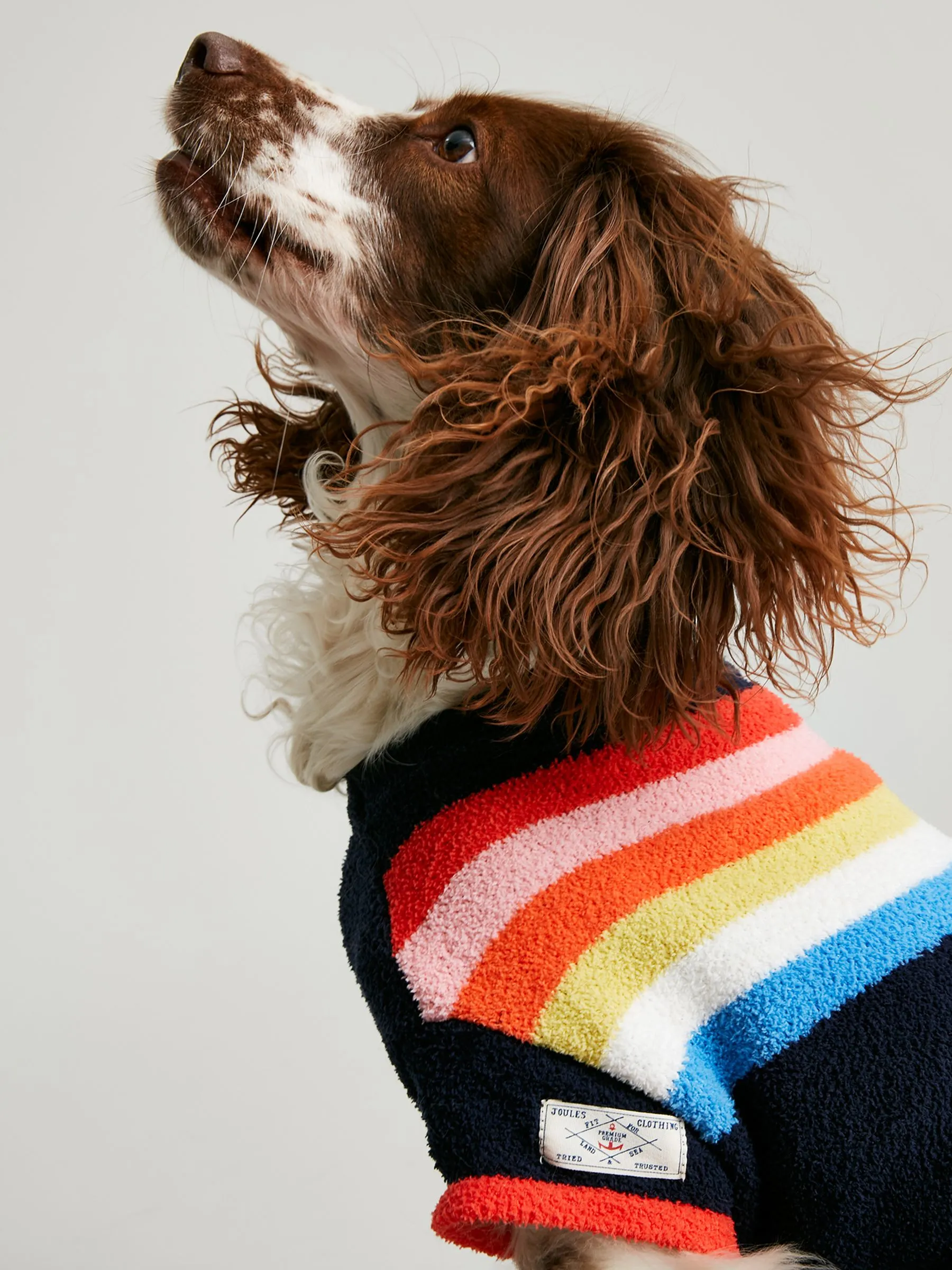 Black Dog Jumper