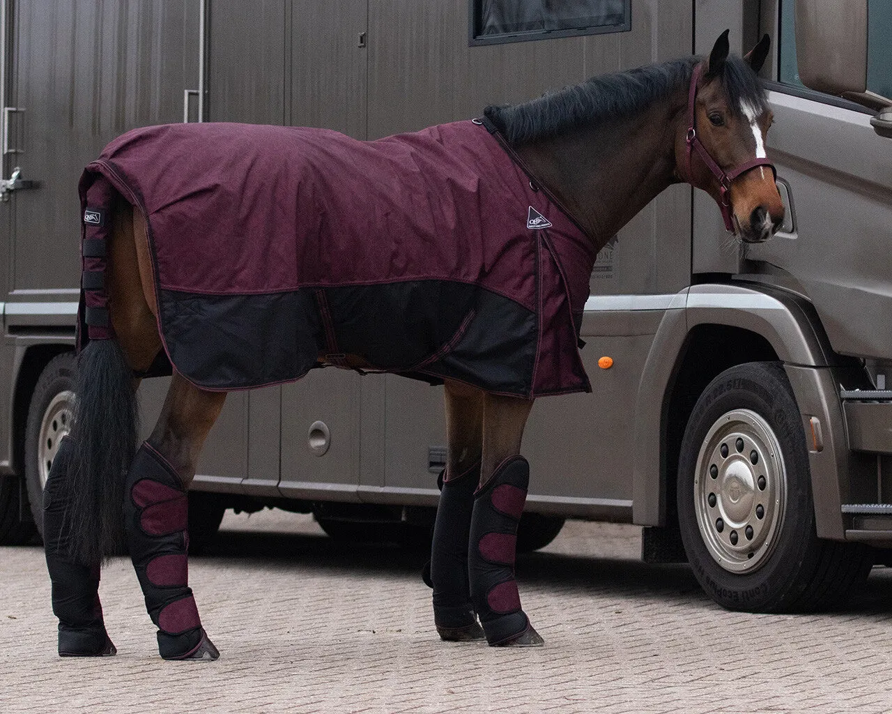 QHP Travel Boots Collection